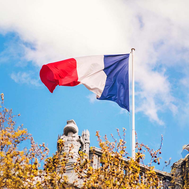 France Vaping Market Snapshot 2026 